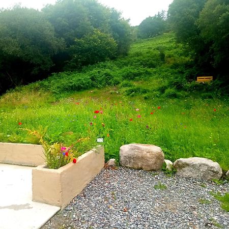Donegal Cottage 多尼戈尔 外观 照片