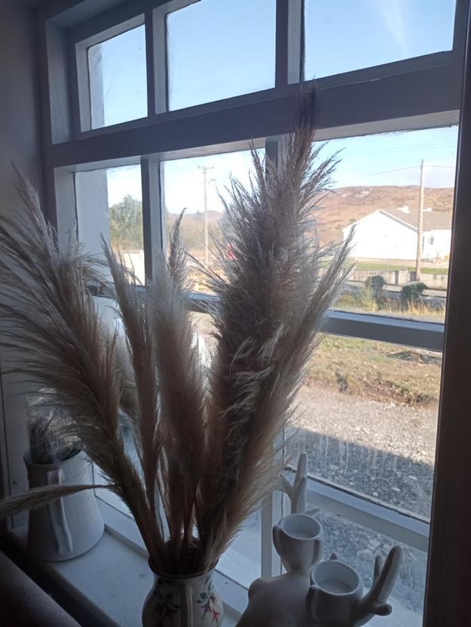 Donegal Cottage 多尼戈尔 外观 照片