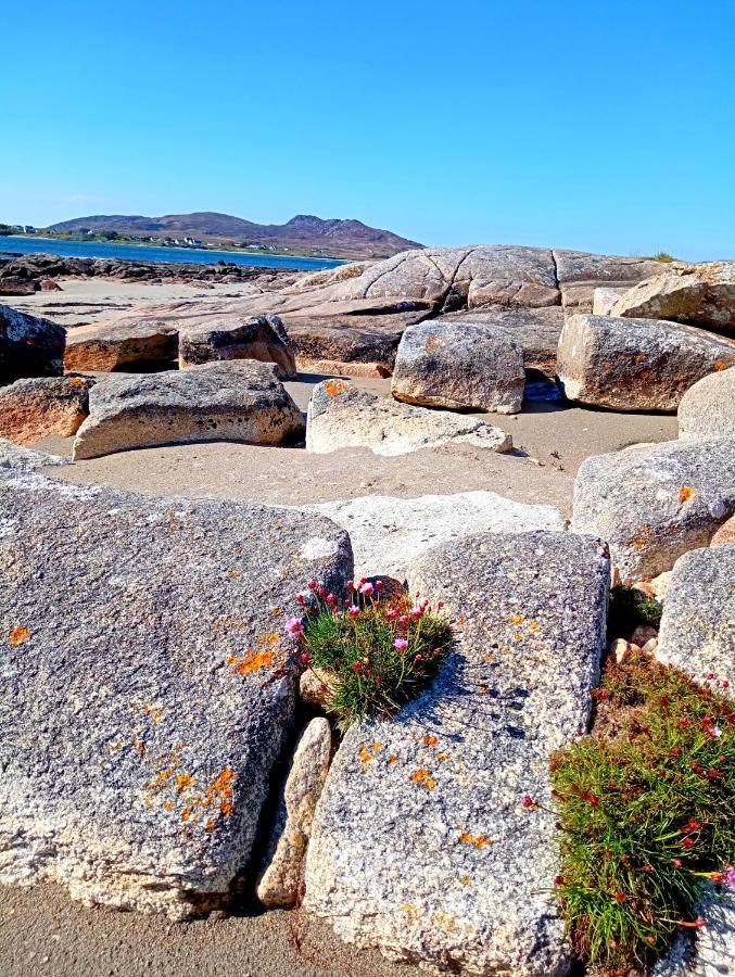 Donegal Cottage 多尼戈尔 外观 照片