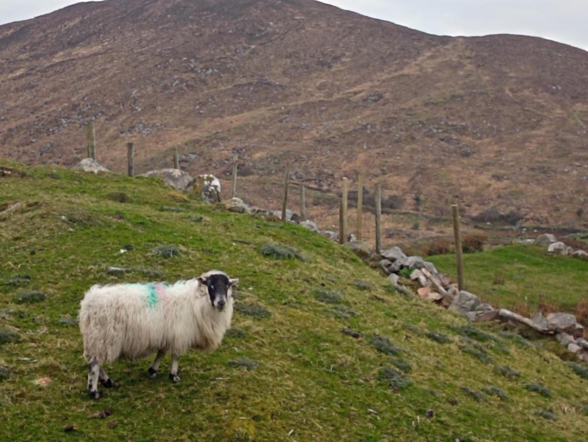 Donegal Cottage 多尼戈尔 外观 照片