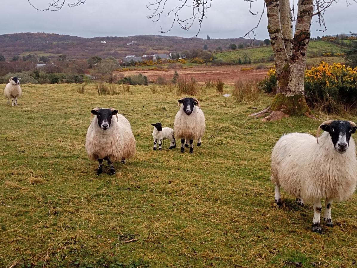 Donegal Cottage 多尼戈尔 外观 照片