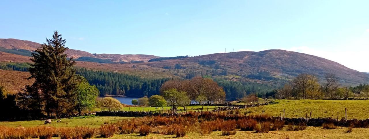 Donegal Cottage 多尼戈尔 外观 照片