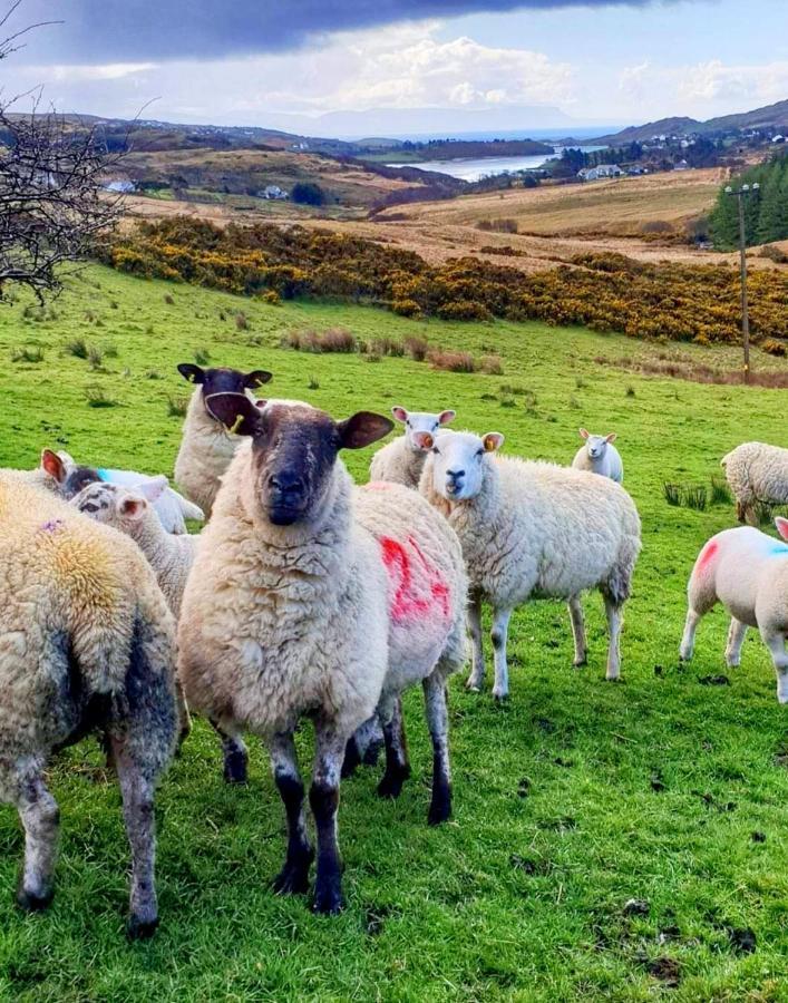 Donegal Cottage 多尼戈尔 外观 照片