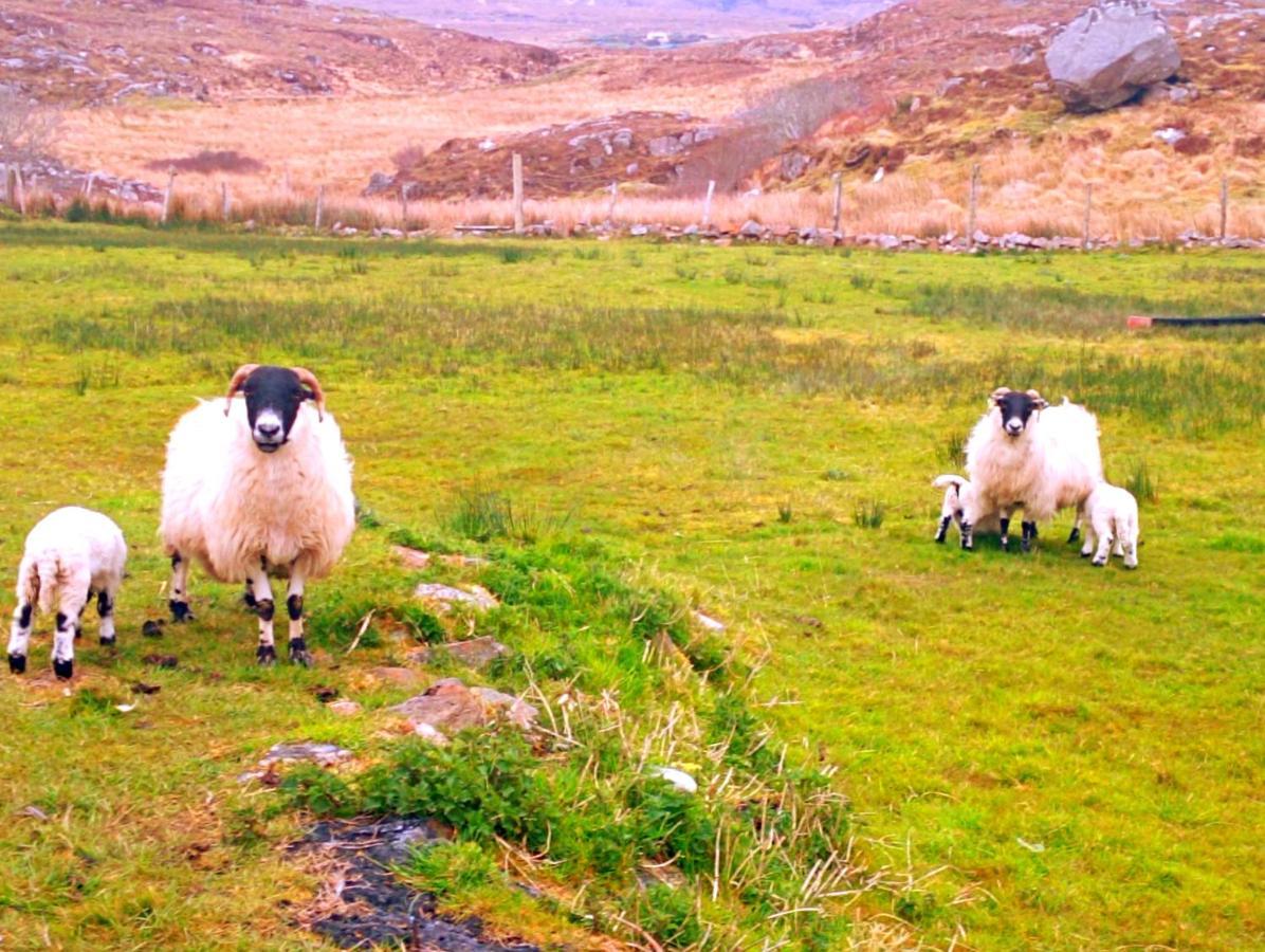 Donegal Cottage 多尼戈尔 外观 照片