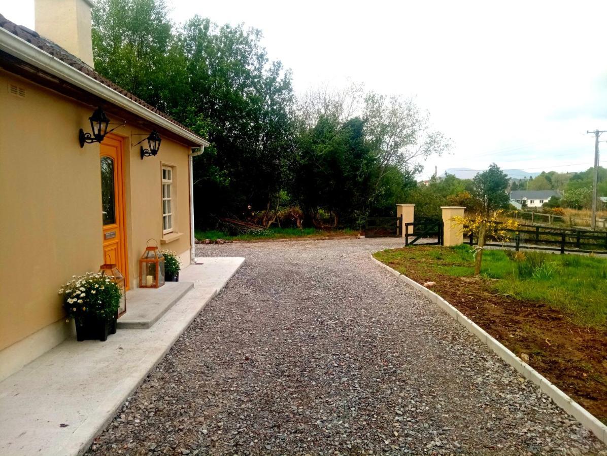 Donegal Cottage 多尼戈尔 外观 照片