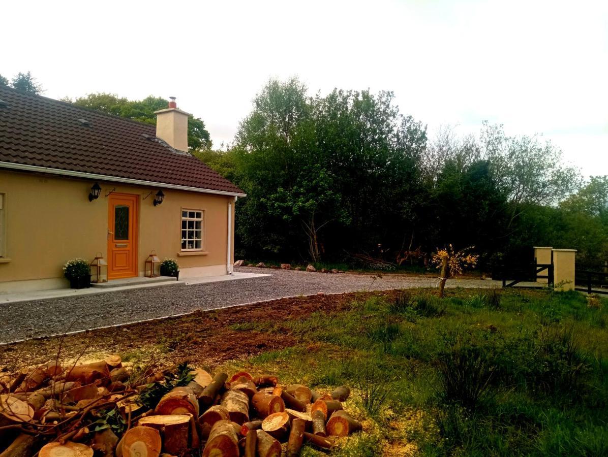 Donegal Cottage 多尼戈尔 外观 照片