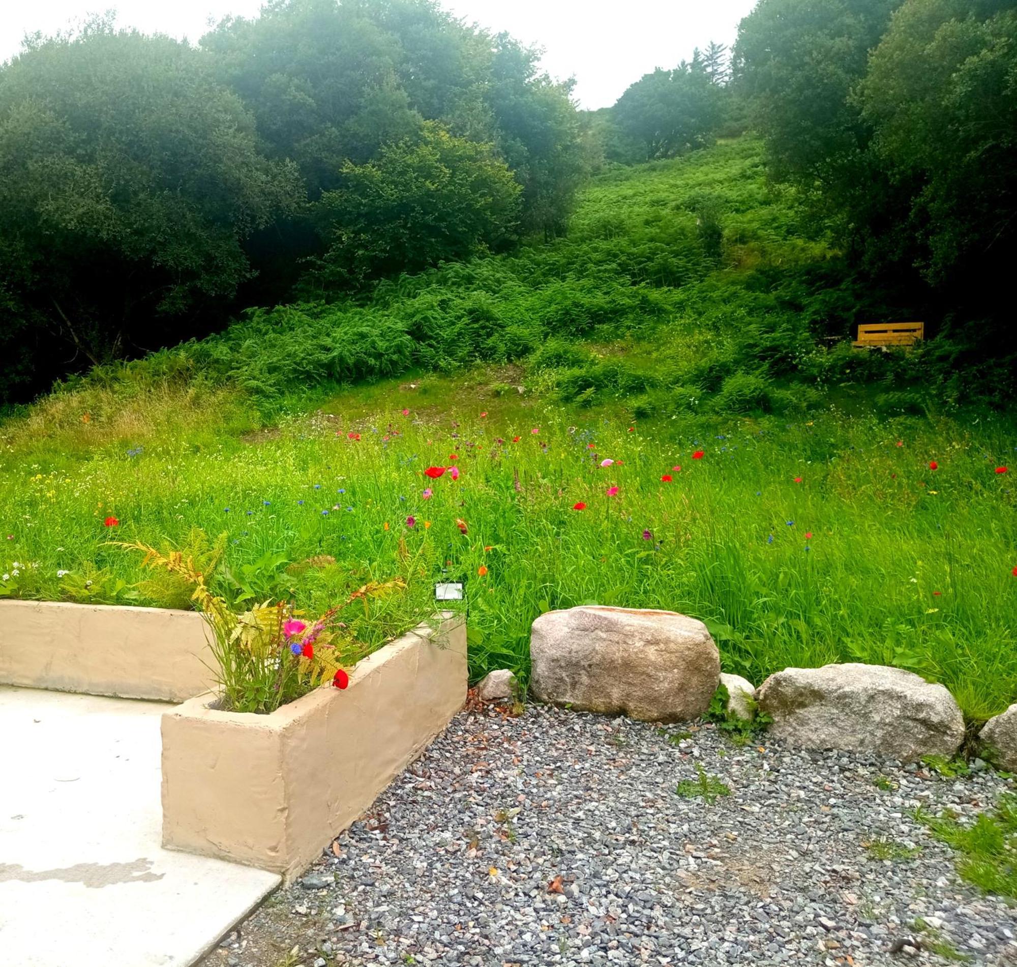 Donegal Cottage 多尼戈尔 外观 照片